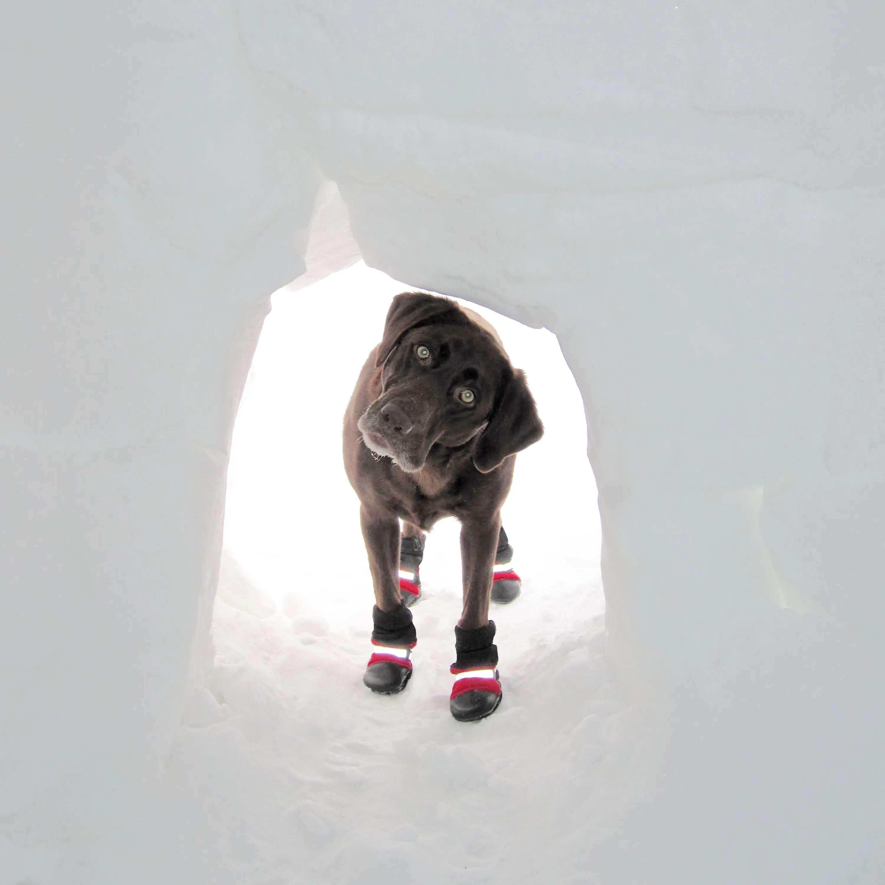 Muttluks Original Fleece-Lined Dog Boots
